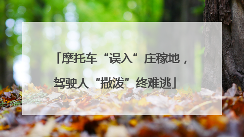 摩托车“误入”庄稼地，驾驶人“撒泼”终难逃