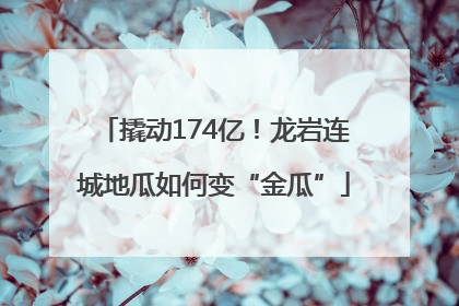 撬动174亿！龙岩连城地瓜如何变“金瓜”