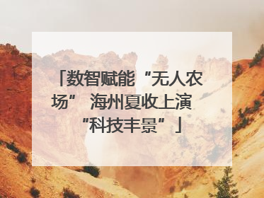 数智赋能“无人农场” 海州夏收上演“科技丰景”
