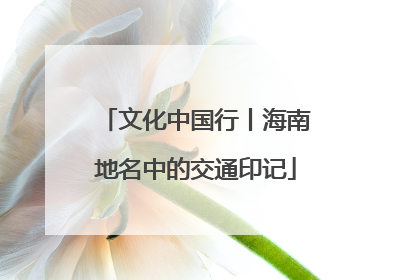 文化中国行丨海南地名中的交通印记