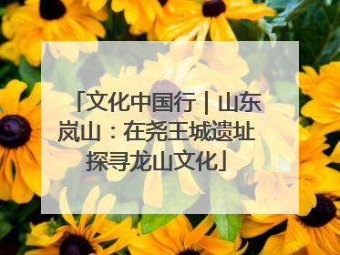 文化中国行｜山东岚山：在尧王城遗址探寻龙山文化