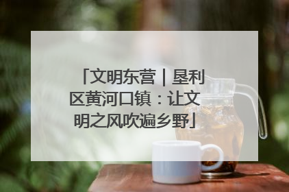 文明东营｜垦利区黄河口镇：让文明之风吹遍乡野