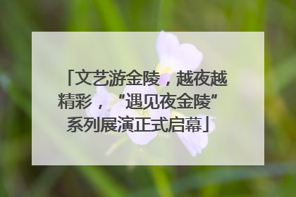 文艺游金陵，越夜越精彩，“遇见夜金陵”系列展演正式启幕