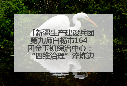 新疆生产建设兵团第九师白杨市164团金玉镇综治中心：“四维治理”淬炼边疆“枫桥样本”