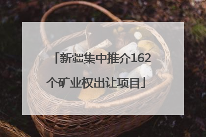 新疆集中推介162个矿业权出让项目