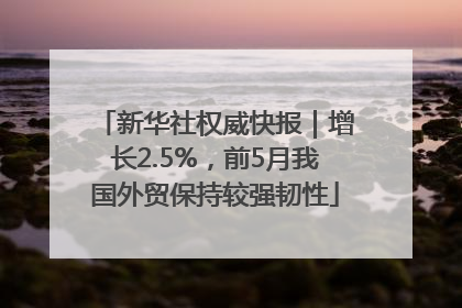 新华社权威快报｜增长2.5%，前5月我国外贸保持较强韧性