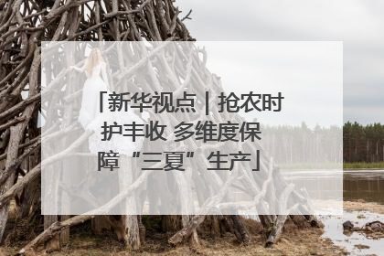 新华视点｜抢农时 护丰收 多维度保障“三夏”生产