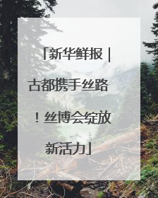 新华鲜报｜古都携手丝路！丝博会绽放新活力