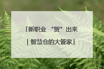 新职业 “贸”出来｜智慧仓的大管家
