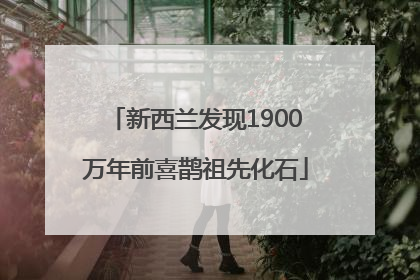 新西兰发现1900万年前喜鹊祖先化石