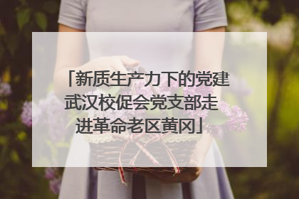 新质生产力下的党建 武汉校促会党支部走进革命老区黄冈