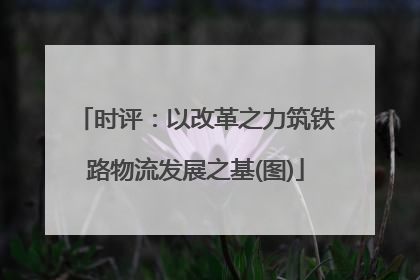 时评：以改革之力筑铁路物流发展之基(图)