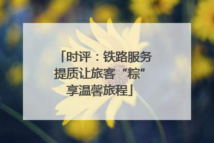 时评：铁路服务提质让旅客“粽”享温馨旅程
