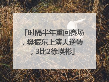 时隔半年重回赛场，樊振东上演大逆转，3比2徐瑛彬
