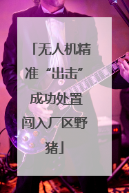 无人机精准“出击” 成功处置闯入厂区野猪