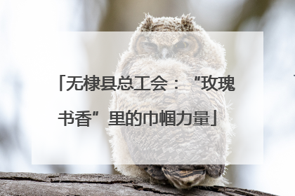 无棣县总工会：“玫瑰书香”里的巾帼力量