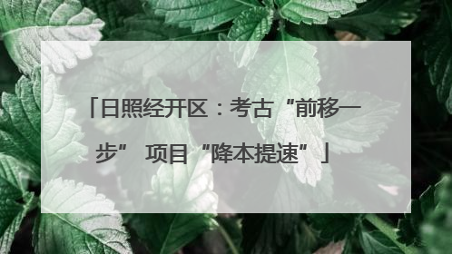 日照经开区：考古“前移一步” 项目“降本提速”