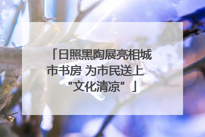日照黑陶展亮相城市书房 为市民送上“文化清凉”