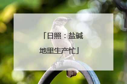 日照：盐碱地里生产忙