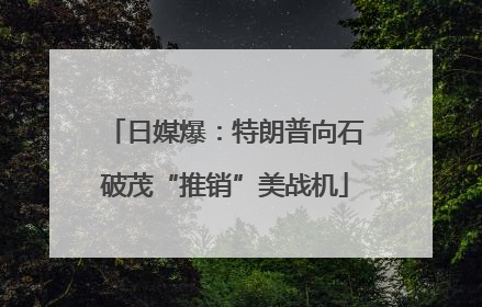 日媒爆：特朗普向石破茂“推销”美战机