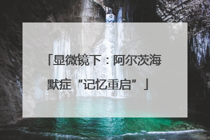 显微镜下：阿尔茨海默症“记忆重启”