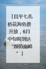 昌平七孔桥花海免费开放，6月中旬将到达“颜值巅峰”