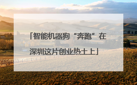 智能机器狗“奔跑”在深圳这片创业热土上