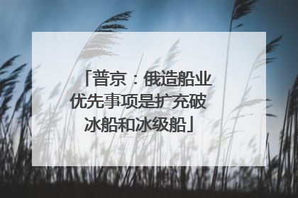 普京：俄造船业优先事项是扩充破冰船和冰级船