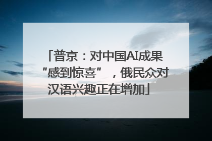 普京：对中国AI成果“感到惊喜”，俄民众对汉语兴趣正在增加