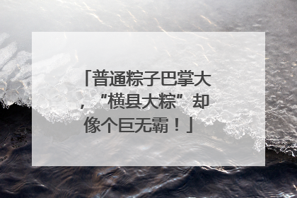 普通粽子巴掌大，“横县大粽”却像个巨无霸！