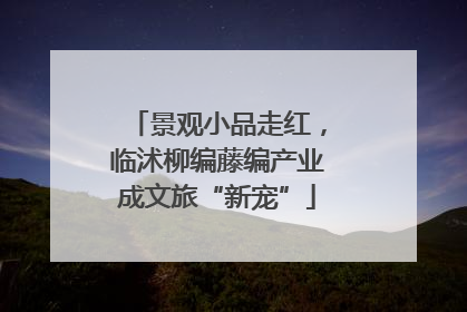 景观小品走红，临沭柳编藤编产业成文旅“新宠”