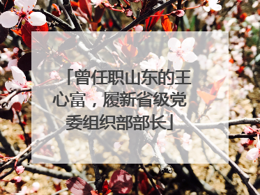 曾任职山东的王心富，履新省级党委组织部部长