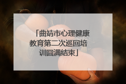 曲靖市心理健康教育第二次巡回培训圆满结束