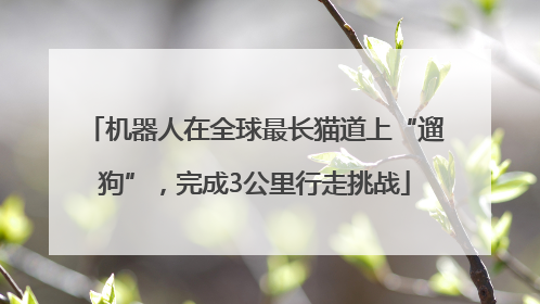 机器人在全球最长猫道上“遛狗”，完成3公里行走挑战