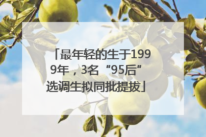 最年轻的生于1999年，3名“95后”选调生拟同批提拔