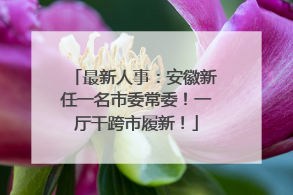 最新人事：安徽新任一名市委常委！一厅干跨市履新！
