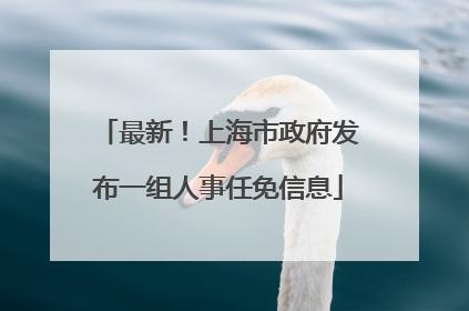 最新！上海市政府发布一组人事任免信息