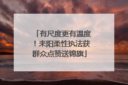 有尺度更有温度！耒阳柔性执法获群众点赞送锦旗