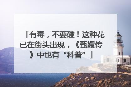 有毒，不要碰！这种花已在街头出现，《甄嬛传》中也有“科普”
