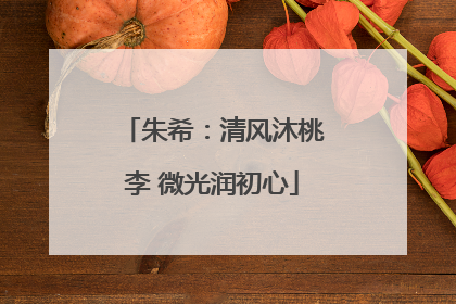朱希：清风沐桃李 微光润初心