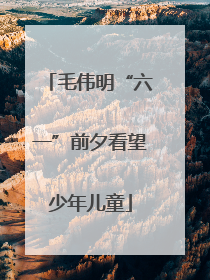 毛伟明“六一”前夕看望少年儿童