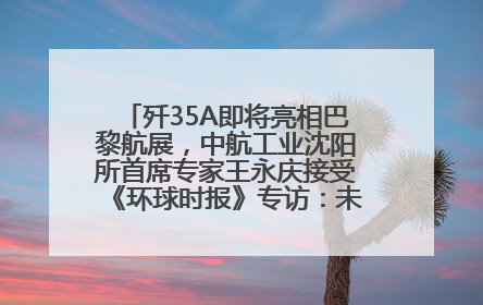 歼35A即将亮相巴黎航展，中航工业沈阳所首席专家王永庆接受《环球时报》专访：未来数量可以有很多