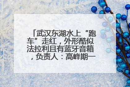 武汉东湖水上“跑车”走红，外形酷似法拉利且有蓝牙音箱，负责人：高峰期一两百人排队