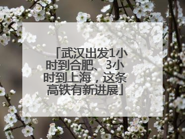 武汉出发1小时到合肥、3小时到上海，这条高铁有新进展