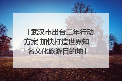 武汉市出台三年行动方案 加快打造世界知名文化旅游目的地