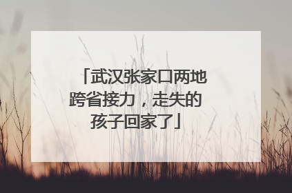 武汉张家口两地跨省接力，走失的孩子回家了