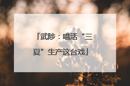 武陟：唱活“三夏”生产这台戏