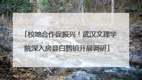校地合作促振兴！武汉文理学院深入房县白鹤镇开展调研