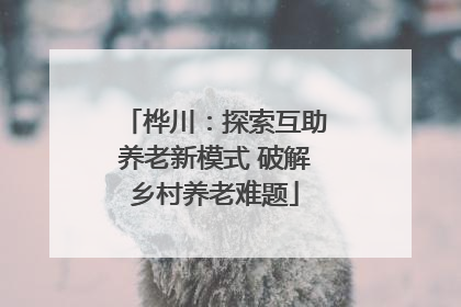 桦川：探索互助养老新模式 破解乡村养老难题