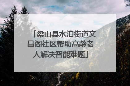 梁山县水泊街道文昌阁社区帮助高龄老人解决智能难题